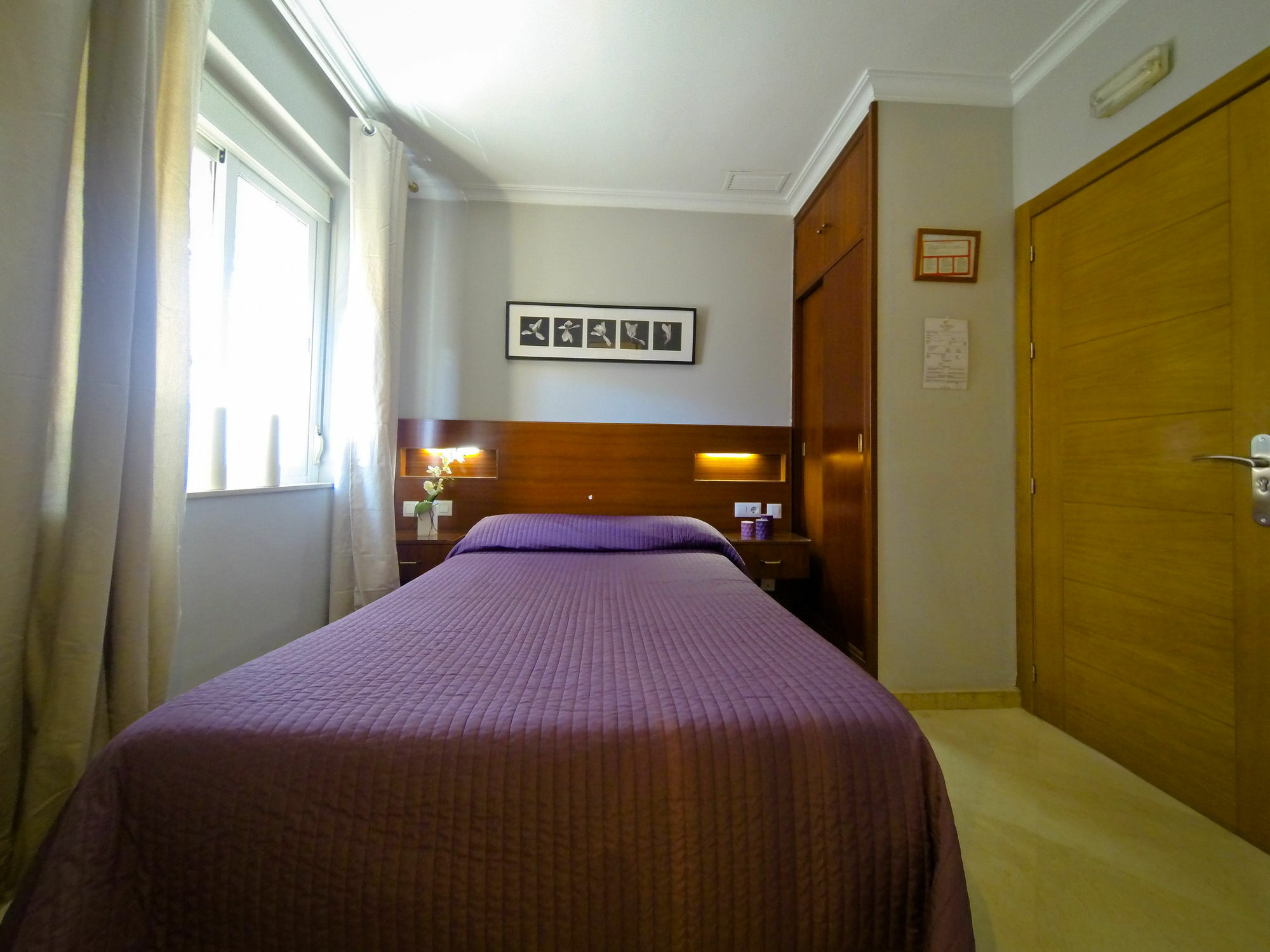 Hostal La Muralla セビリア エクステリア 写真